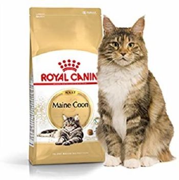 Comida Royal Canin para Maine Coon 10Kg
