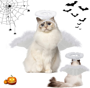 disfraz Halloween gato ángel