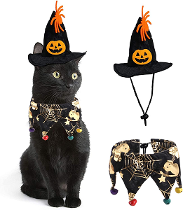 Disfraz Halloween gato bruja