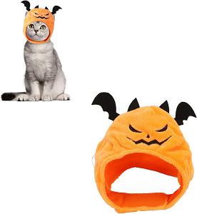 Disfraz Halloween gato cabeza calabaza