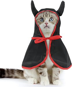 Disfraz Halloween gato demonio