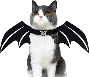 Disfraz Halloween gato murciélago esqueleto