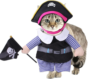 Disfraz Halloween gato pirata