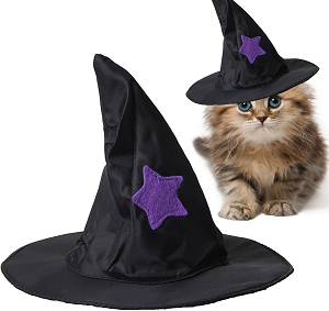 Disfraz Halloween gato sombrero bruja